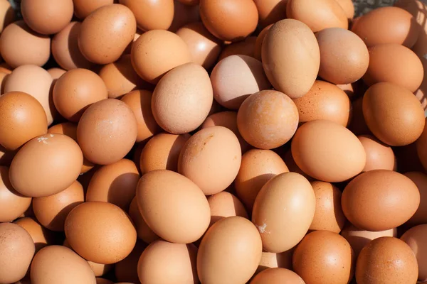 Antecedentes Huevos Domésticos Frescos Alimentos Ecológicos — Foto de Stock