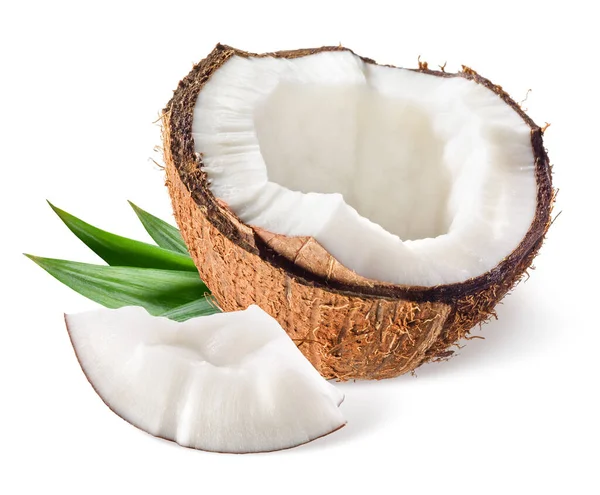 Kokosnuss Mit Blatt Auf Weißem Hintergrund — Stockfoto