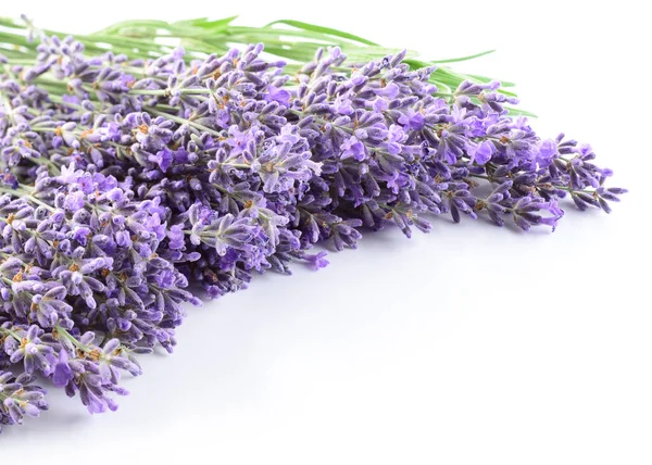 Natural Organic Lavender Flowers Background — Stock Photo, Image