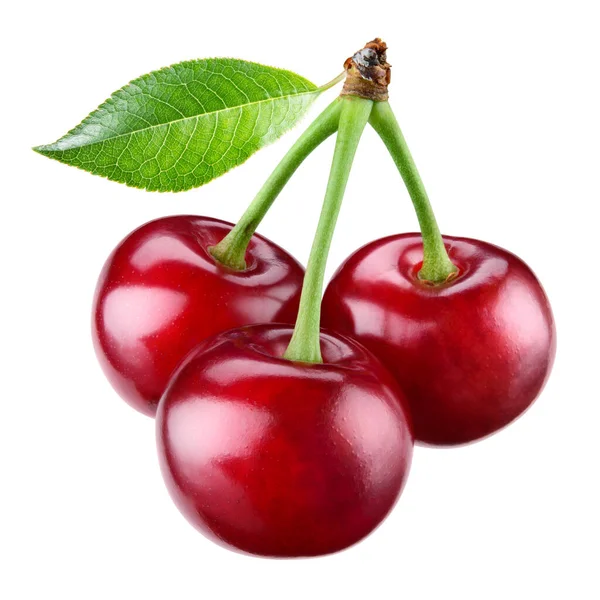 Frische Reife Kirsche Mit Blatt Drei Beeren Isoliert Auf Weiß — Stockfoto