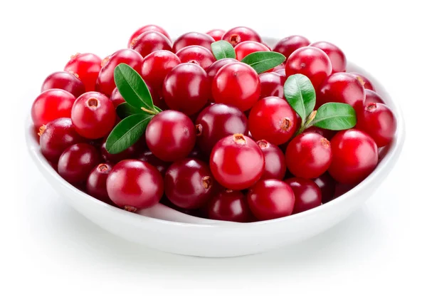 Cranberry Dengan Daun Terisolasi Atas Putih — Stok Foto