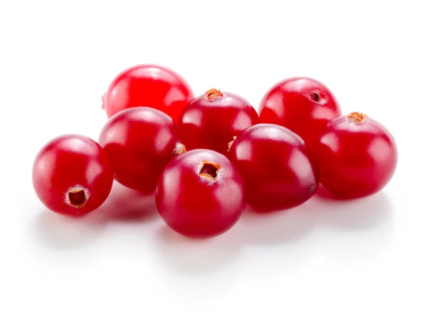 Cranberry Isolated White Background — Stock Photo, Image
