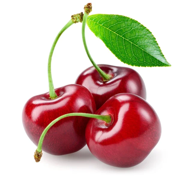 Cherry Med Leaf Isolerad Vit — Stockfoto