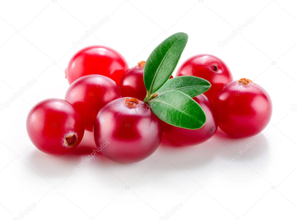 Cranberry with leaves isolated on white.