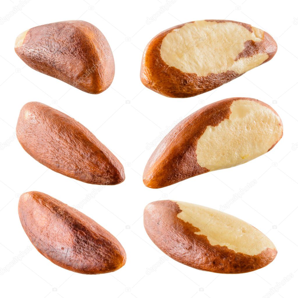 Brazil nut isolated on white background. Collection.