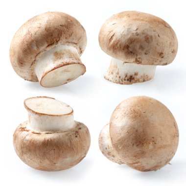 Koleksiyon. Taze kraliyet şampiyonları, beyaz arka planda.