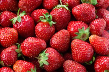 Çilek - tam çerçeve, doğal arka plan