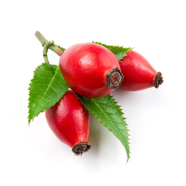 Rose Hip Isolated White Background — Stock Photo, Image