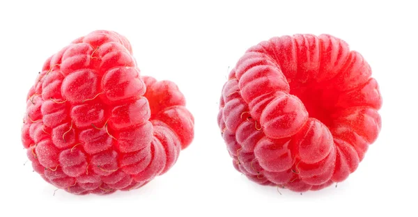 Raspberry Isolated White Background — Stock Photo, Image