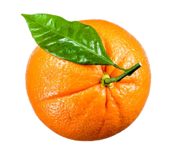 Sinaasappelfruit Geïsoleerd Wit — Stockfoto