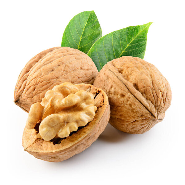 Walnut isolated on the white background. With clipping path.