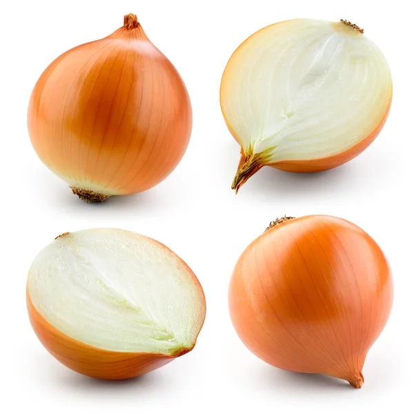 Onion Bulb Isolated White Clipping Path Collection — Stock Photo, Image