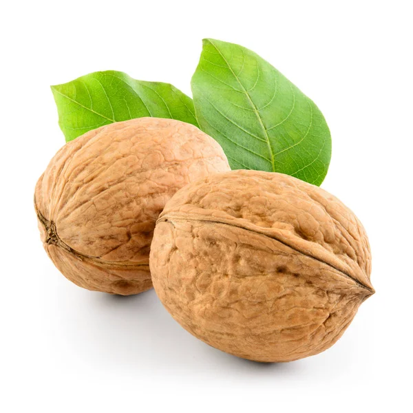 Two Walnuts Leaves Isolated White Clipping Path — Stock Photo, Image