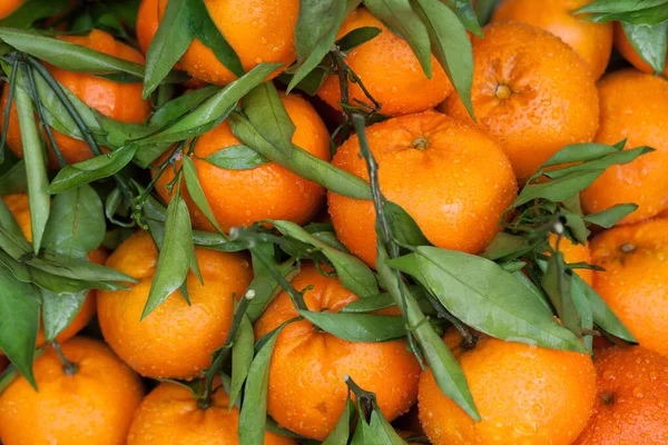 Fresh Mandarin Oranges Fruit Background — Stock Photo, Image
