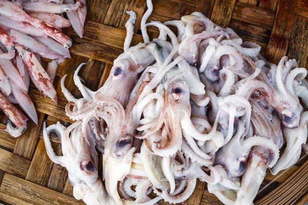 Calamari Freschi Mercato Frutta Mare — Foto Stock