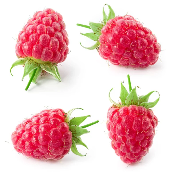 Raspberry Isolated White Background Collection — Stock Photo, Image