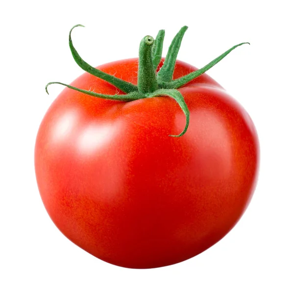흰색으로 토마토 — 스톡 사진