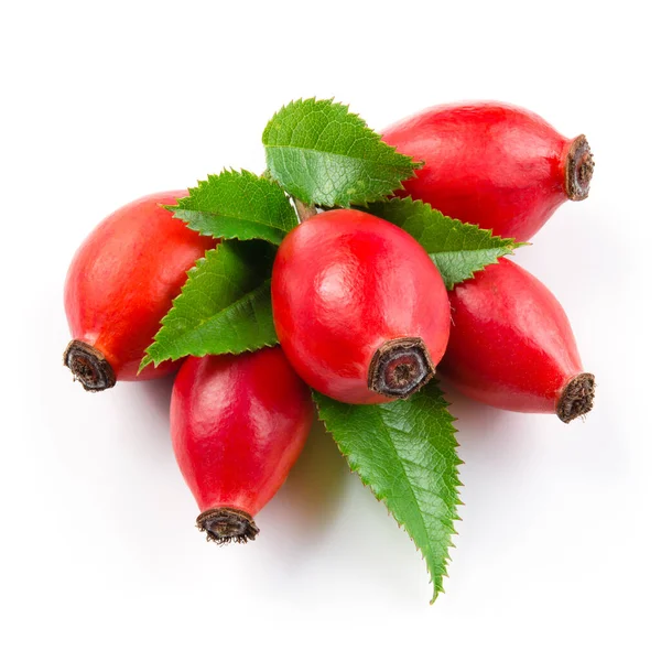 Rose Hip Isolated White Background — Stock Photo, Image