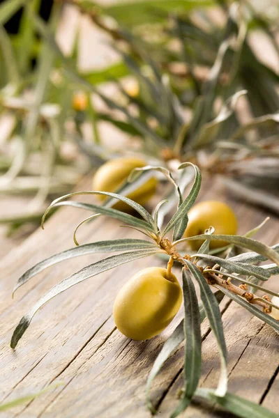 Groene Olijven Natuurlijke Achtergrond — Stockfoto