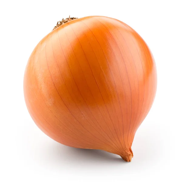 Fresh Onion Bulb Isolated White Clipping Path — Stock Photo, Image