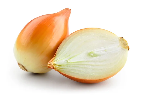 Fresh Onion Bulb Cut Isolated White Clipping Path — Stock Photo, Image