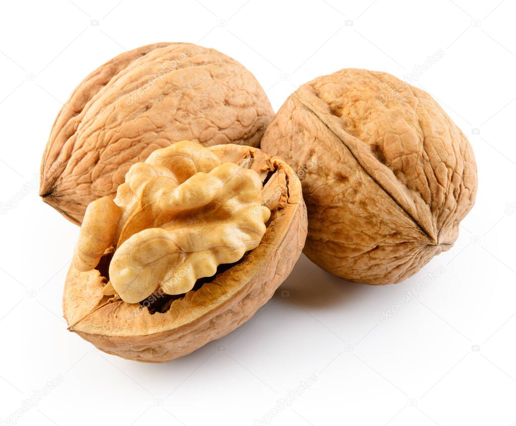 Walnut isolated on the white background. With clipping path.