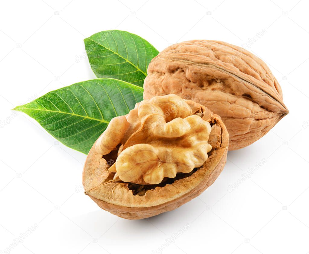 Walnut with leaves isolated on the white background. With clipping path.