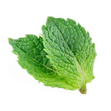 Beyaz arkaplanda izole edilmiş iki nane yaprağı