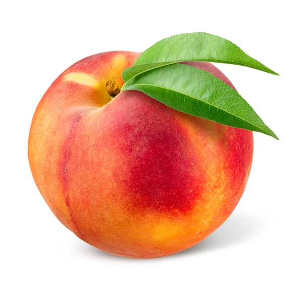 Peach Fruit Isolated White — Stock Photo, Image