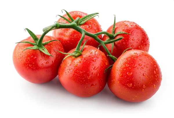 白で隔離される滴とトマト — Stock fotografie