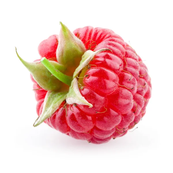 Raspberry Isolated White — Stock Photo, Image