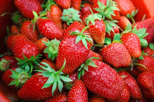 草莓味的果的天然背景 — 图库照片