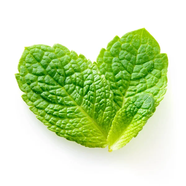 Fresh Mint Leaves Isolated White Background Studio Macro — Stock Photo, Image