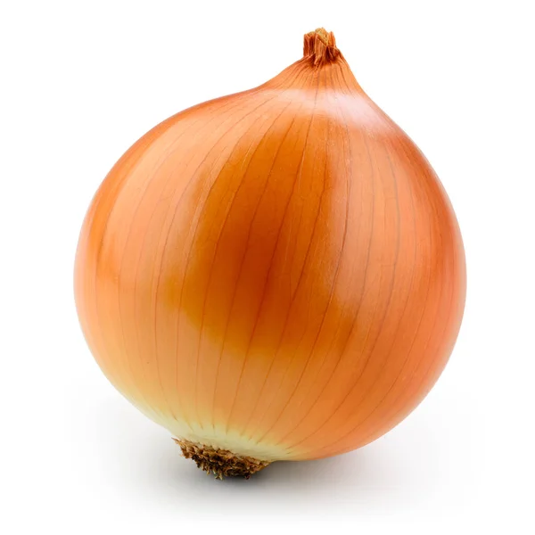 Fresh Onion Bulb Isolated White Clipping Path — Stock Photo, Image