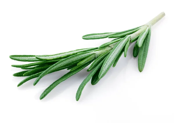 Fresh Rosemary Isolated White — Stock Photo, Image