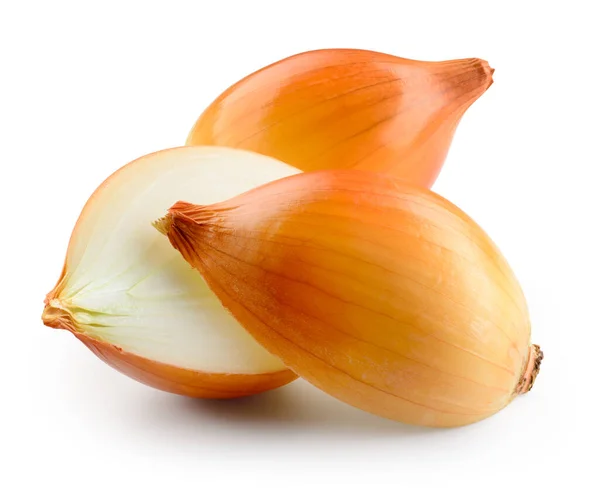 Fresh Onion Bulbs Isolated Clipping Path — Stock Photo, Image