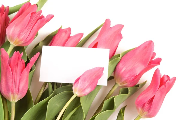 Tulipány Bílém Přírodní Pozadí — Stock fotografie