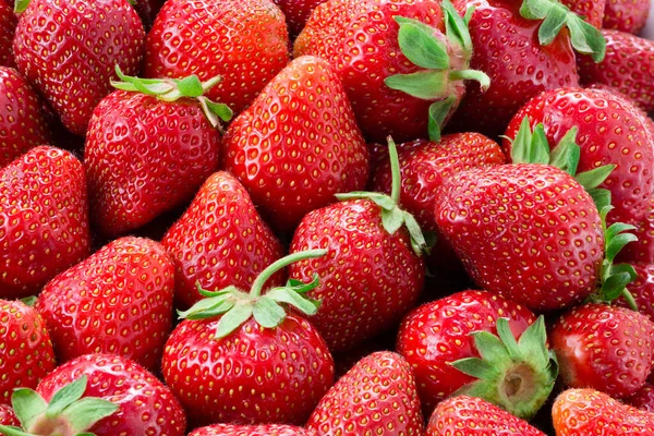 新鲜草莓 有机水果背景 — 图库照片