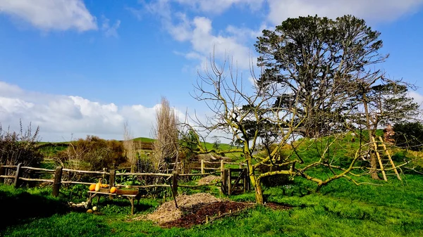 Shire'ı güzel havalarda