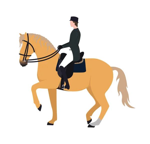 En ryttare på en häst. Illustration av en jockey ridande på en häst. Illustration av en man som rider hingst. Bild av en ryttare på en häst — Stock vektor