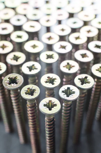 Screws in a row, abstract, close-up — Stock Photo, Image