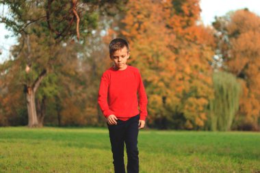 Bir çocuk çimenlerin üzerinde bir parkta oynuyor