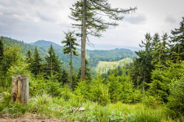 Pass üç vadiler Polonya'da düşük