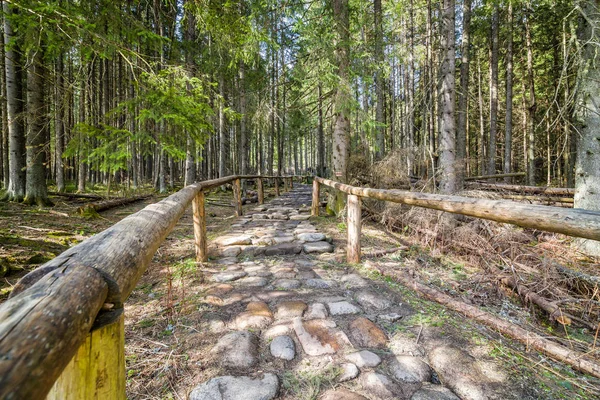 Zakopane - Lac Oko Morskie, montagnes Tatras Pologne — Photo