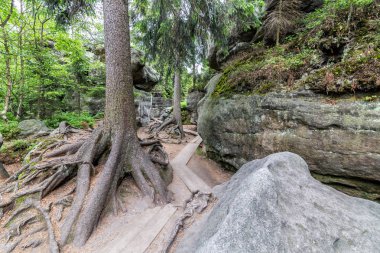 Table Mountains - yanlış kayalar, Sudeten