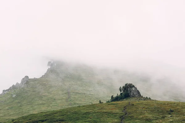 Árbol solitario en las montañas en la niebla —  Fotos de Stock