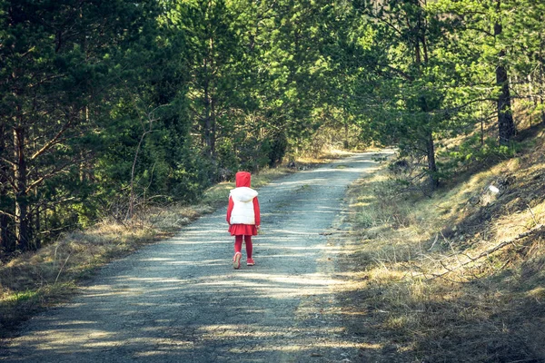 Holčička kráčí lesem — Stock fotografie