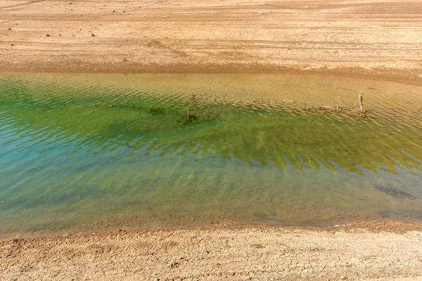 Agua verde y tierra seca — Foto de Stock