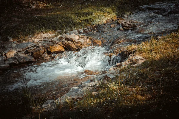 Маленький водопад в парке — стоковое фото
