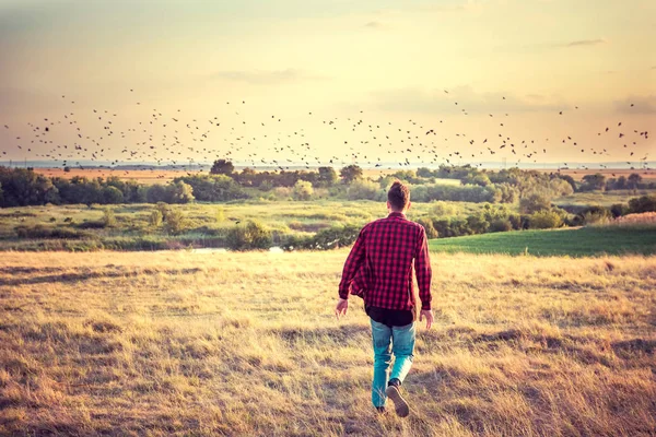 Man loopt op het veld — Stockfoto